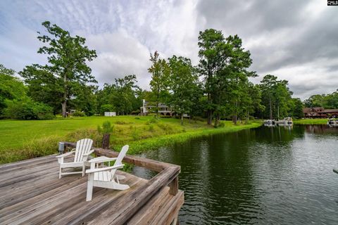 A home in Chapin