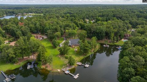 A home in Chapin