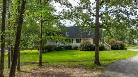 A home in Chapin