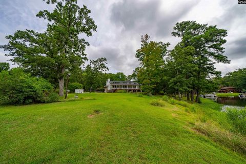 A home in Chapin