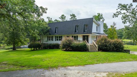 A home in Chapin