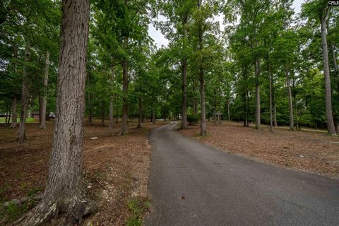 A home in Chapin