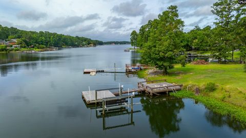 A home in Chapin