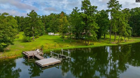 A home in Chapin