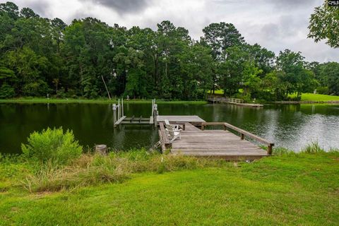 A home in Chapin