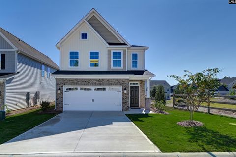 Photo of 608 Thunder Gulch Avenue, Lexington, SC 29073 (MLS # 637320)