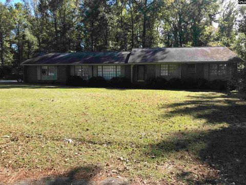 Single Family Residence in Orangeburg SC 395 PARTRIDGE Road.jpg