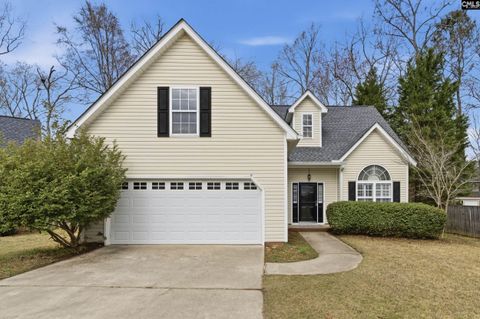 Photo of 190 Elm Creek Drive, Chapin, SC 29036 (MLS # 628543)