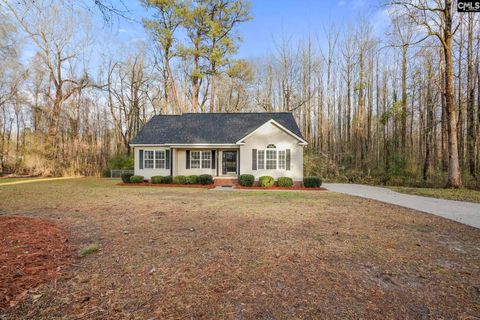 Photo of 135 Litchfield Court, Orangeburg, SC 29118 (MLS # 628570)