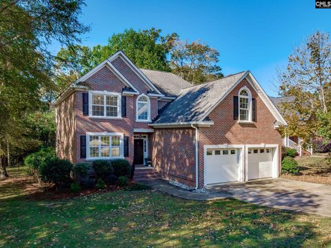 Photo of 7 Sienna Court, Chapin, SC 29036 (MLS # 621124)