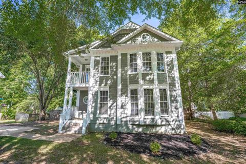 Property photo of 13 Castle Vale Circle, Irmo, SC 29063