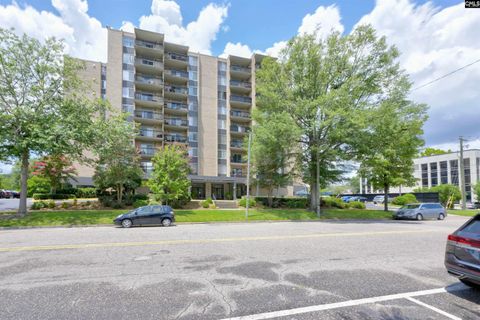 Photo of 619 King Street #710, Columbia, SC 29205 (MLS # 622728)