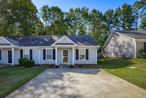 A home in Chapin