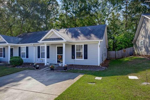 A home in Chapin