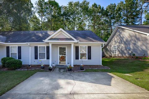 A home in Chapin