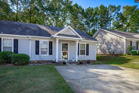 A home in Chapin