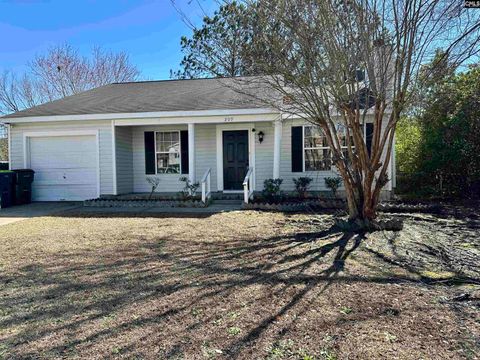 Photo of 209 Maple Tree Court, Lexington, SC 29073 (MLS # 627003)