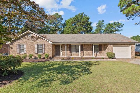 Photo of 313 Thornridge Road, Columbia, SC 29223 (MLS # 622947)