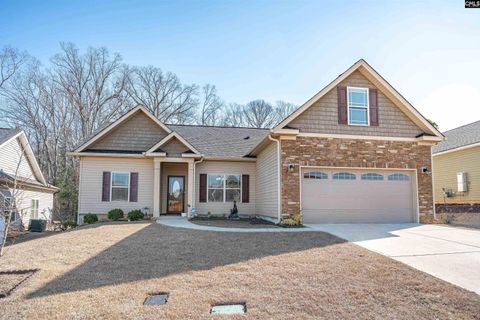 Photo of 308 Silver Anchor Dr Dr, Columbia, SC 29212 (MLS # 626674)