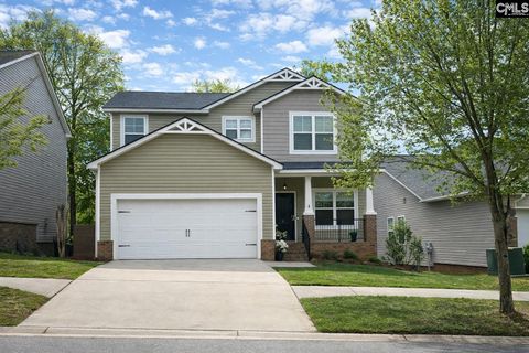 Photo of 249 Allenbrooke Way, Lexington, SC 29072 (MLS # 630750)
