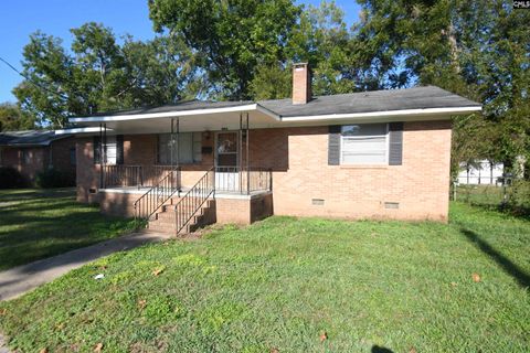Photo of 229 Boundary Street, Newberry, SC 29108 (MLS # 618152)