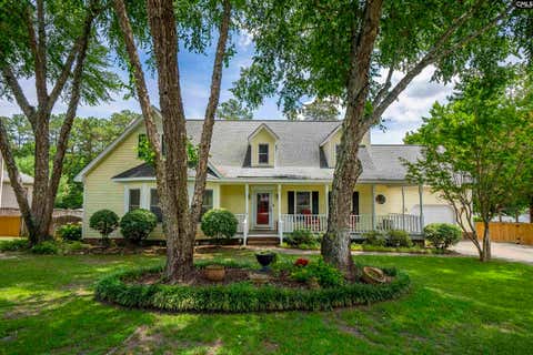 Photo of 132 Platinum Drive, Lexington, SC 29072 (MLS # 636717)