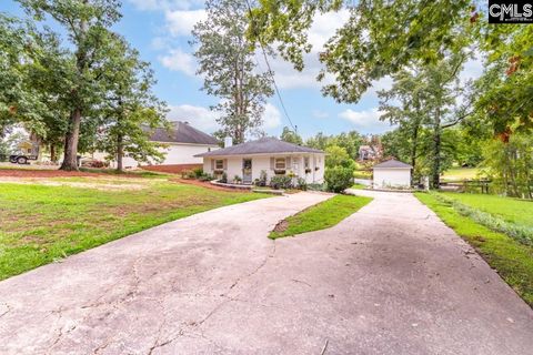 A home in Chapin