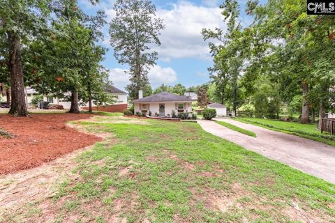 A home in Chapin