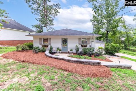 A home in Chapin