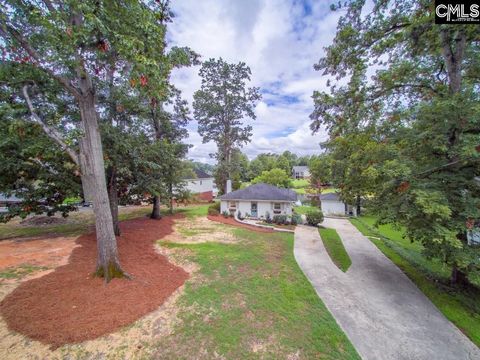 A home in Chapin