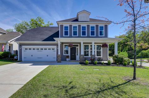 Photo of 1331 Tamarind Lane, Chapin, SC 29036 (MLS # 632816)