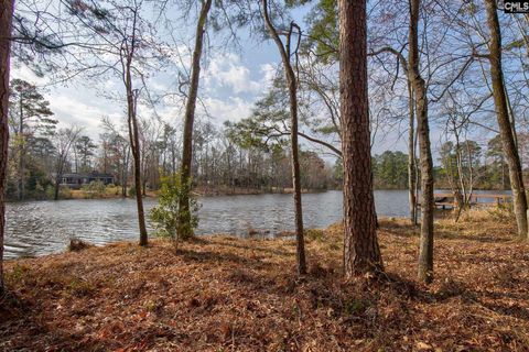 Photo of 217 Caro Lane, Chapin, SC 29036 (MLS # 626121)