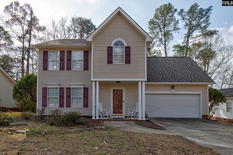 Photo of 217 Caro Lane, Chapin, SC 29036 (MLS # 626121)