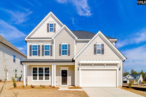 Photo of 345 Rising Stream Way, Chapin, SC 29036 (MLS # 620314)