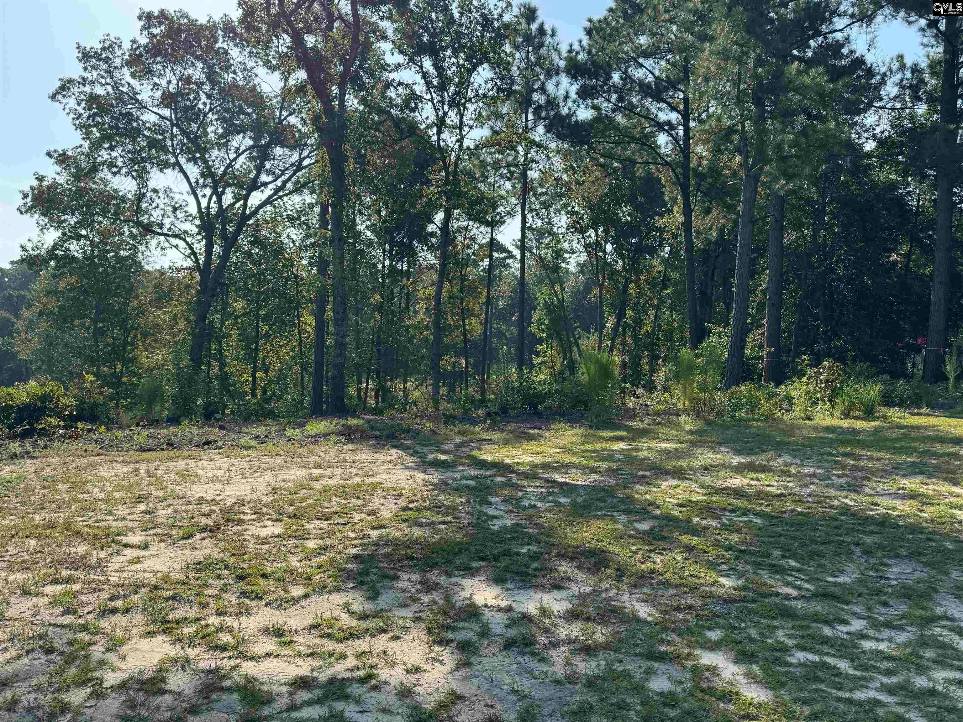 208 Crickentree Drive