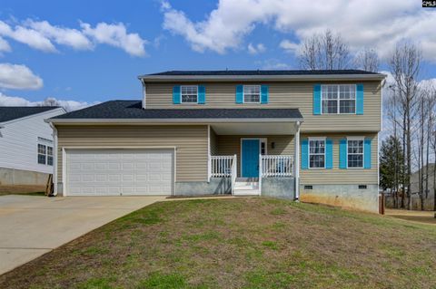 Photo of 120 Tail Feather Way, Chapin, SC 29036 (MLS # 627650)