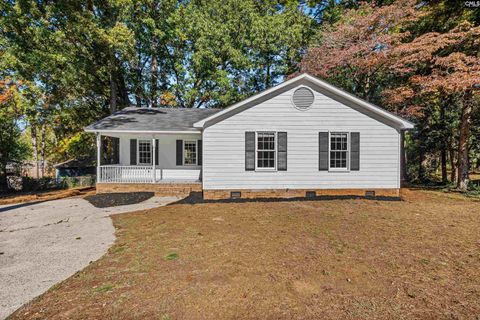 Photo of 105 May Morning Court, Lexington, SC 29073 (MLS # 632899)