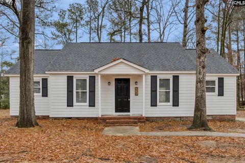 Photo of 325 Parlock Road, Irmo, SC 29063 (MLS # 624365)