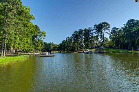 A home in Chapin