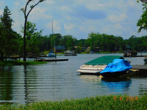 A home in Chapin