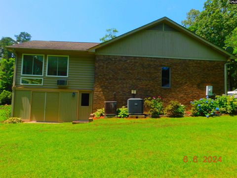 A home in Chapin