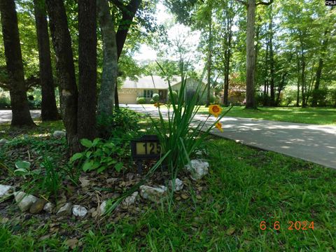 A home in Chapin