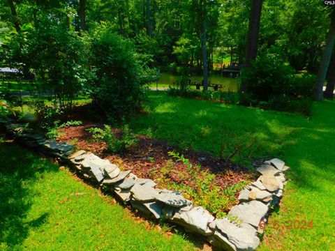 A home in Chapin