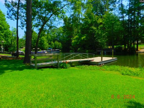 A home in Chapin