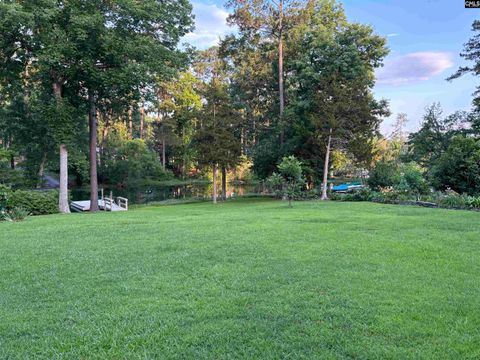 A home in Chapin