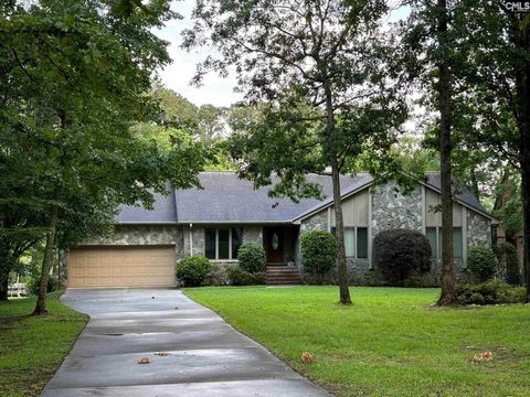 A home in Chapin