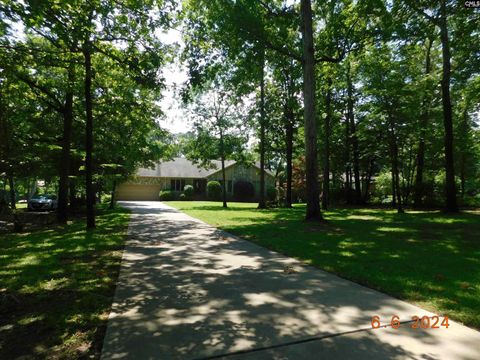 A home in Chapin