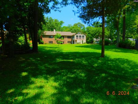 A home in Chapin