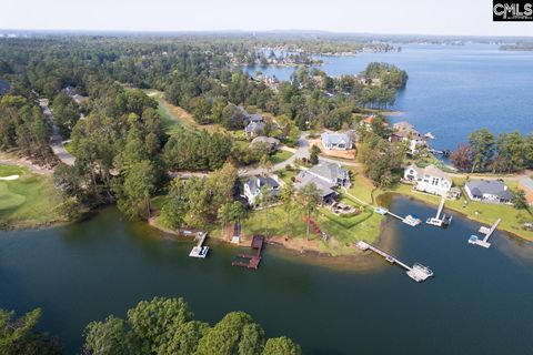 A home in Chapin