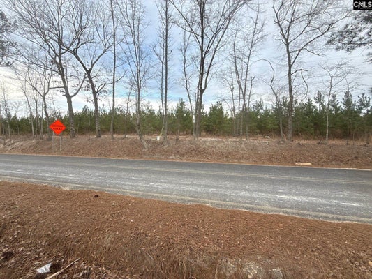 121 NURNBERG DR, LEESVILLE, SC 29070 - Image e750cfcf17bbad935c7ec5ad3d8bdd3d/1550109838